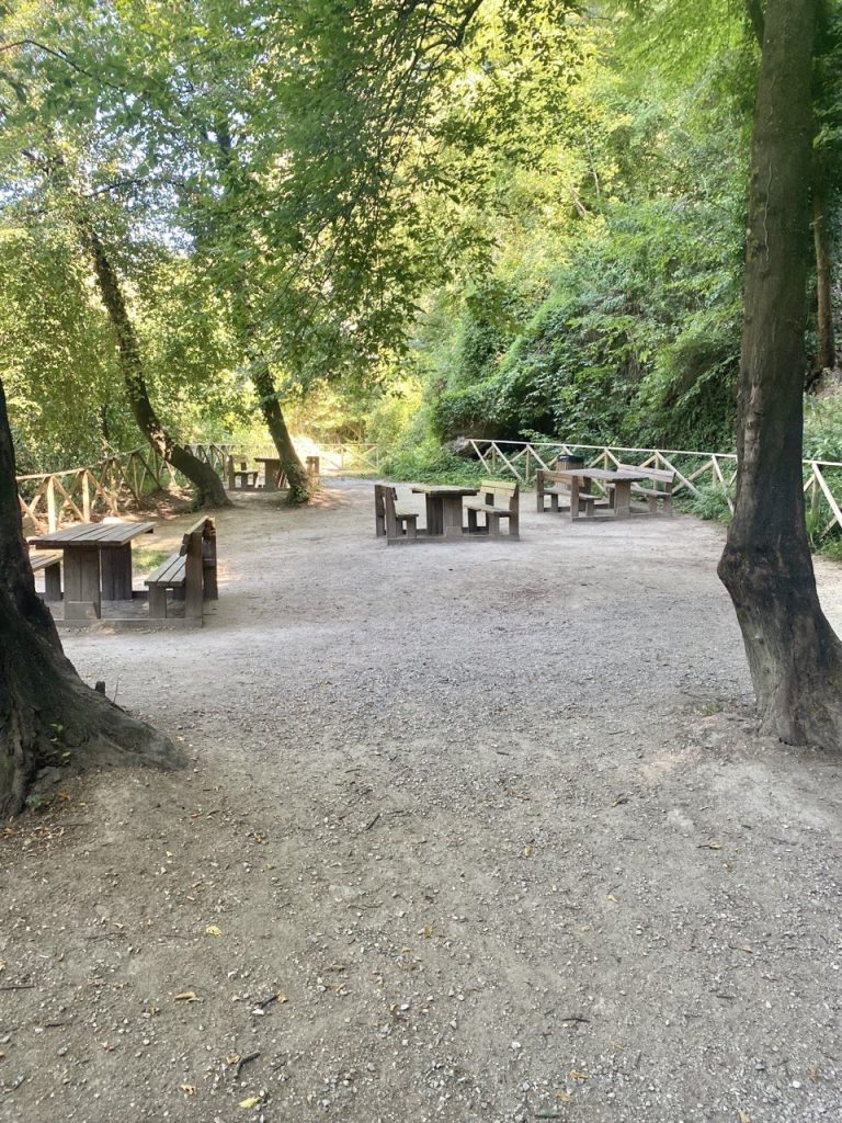 Лавки та зони відпочинку