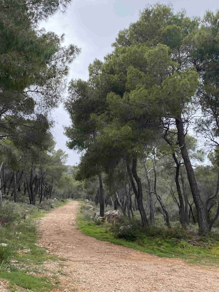 Agistri, in March, Greece